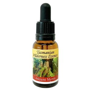���󥷥���ȥޡ��ȥ�ԥҥޥ��󡦥ե�����ϥ󥵡�����15ml