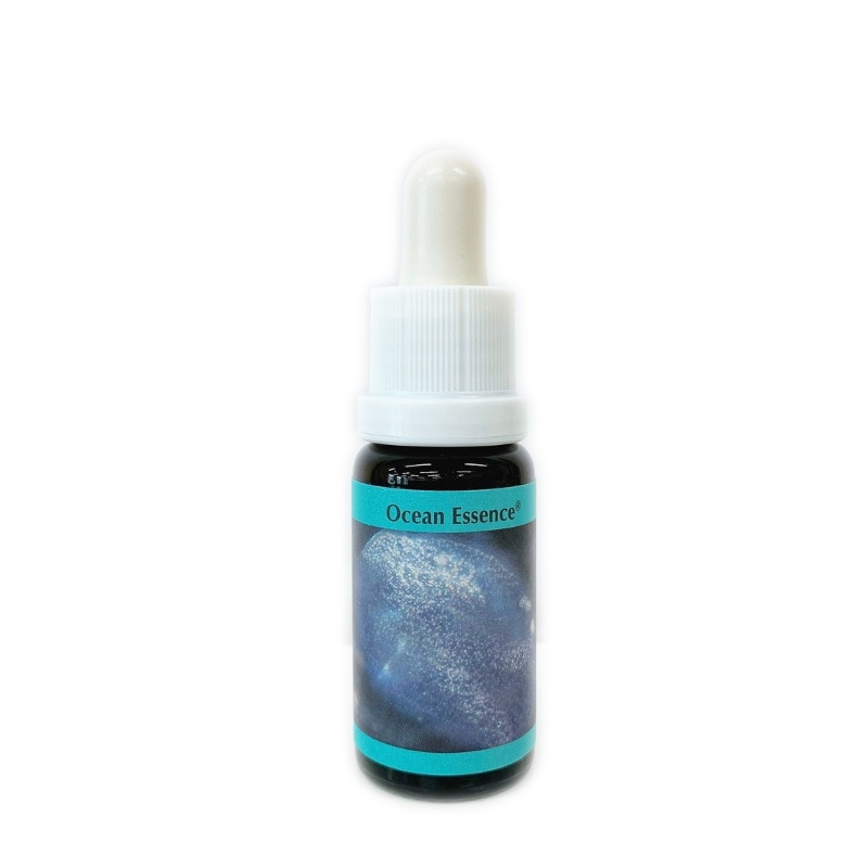 オーシャンエッセンス No3《コルテPHIエッセンス》15ml｜フラワー