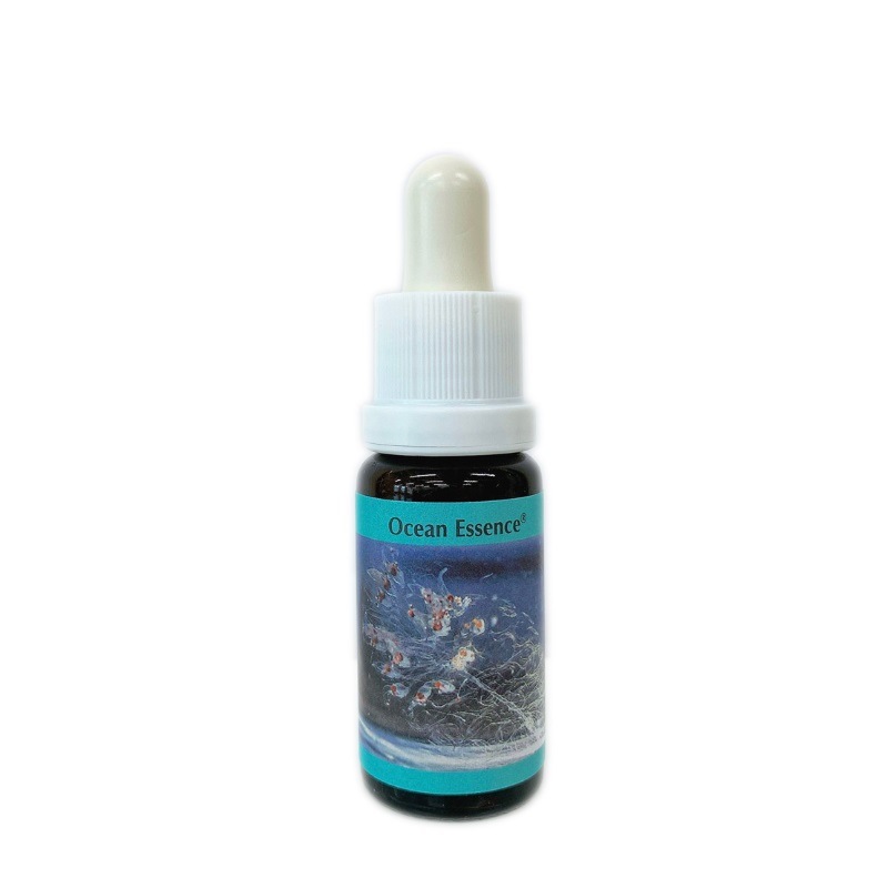 オーシャンエッセンス No19《コルテPHIエッセンス》15ml｜フラワー