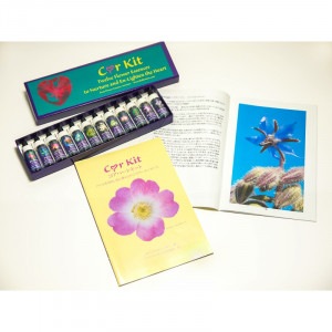 �����ϡ��ȥ��åȡʲ�����աˡ�FES�ե����å��󥹡�7.5ml��12�ܥ��åȡʼ����ʡ�