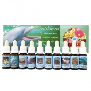 �������å��󥹡ԥ����PHI���å��󥹡���10�ܥ��å�