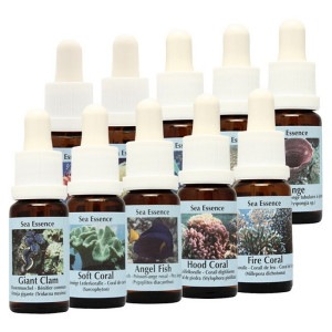 �������å��󥹡ʥ�����륷�꡼���ˡԥ����PHI���å��󥹡���10�ܥ��å�