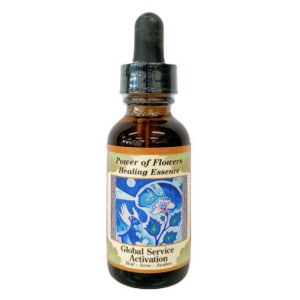 �������Х륵���ӥ������ƥ��١������ԥѥ���֥ե��ҡ���󥰥��å��󥹡�30ml