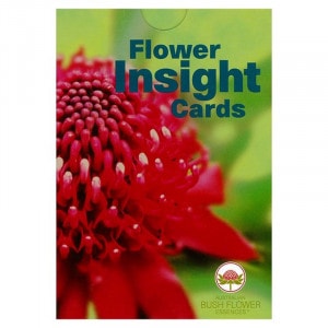 �ե����󥵥��ȥ�����(�Ѹ���)�ԥ������ȥ�ꥢ��֥å��� �ե����å��󥹡���69��