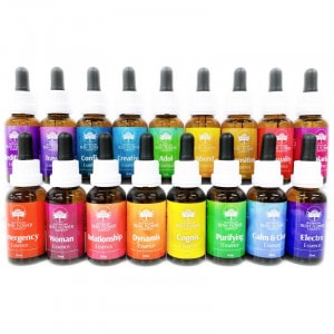 ����ӥ͡�����󥭥å���17�ܡԥ������ȥ�ꥢ��֥å��� �ե����å��󥹡�30ml��17�ܥ��å�