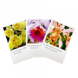 書籍・雑貨,フラワーエッセンス本・CD｜フラワーレメディ【公式】