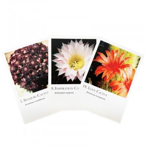 書籍・雑貨,フラワーエッセンス本・CD｜フラワーレメディ【公式】