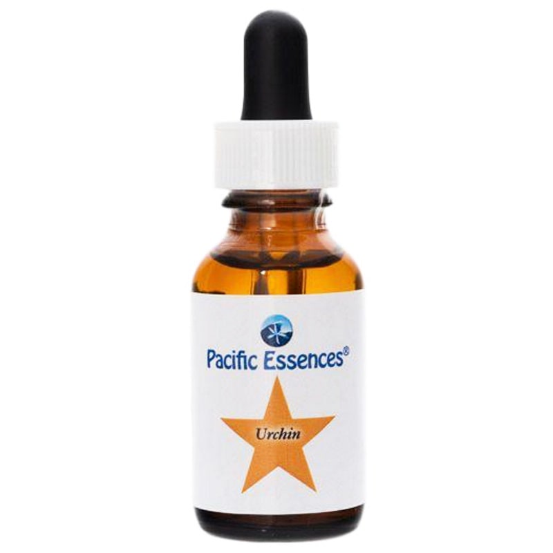 アーチン 《パシフィックエッセンス》25ml