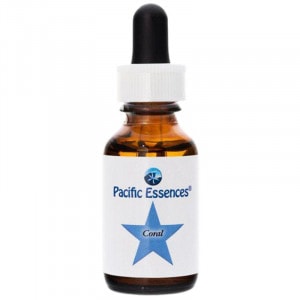 ����������� �ԥѥ��ե��å����å��󥹡�25ml�ڢ��缡30ml�������ѹ��Ȥʤ�ޤ���