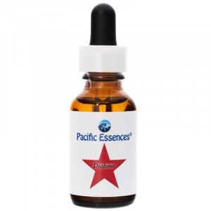 �������ȡ��� �ԥѥ��ե��å����å��󥹡�25ml�ڢ��缡30ml�������ѹ��Ȥʤ�ޤ���