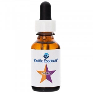 �ɥ�ե��� �ԥѥ��ե��å����å��󥹡�30ml