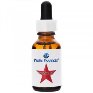 �쥤��ܡ������ �ԥѥ��ե��å����å��󥹡�25ml�ڢ��缡30ml�������ѹ��Ȥʤ�ޤ���