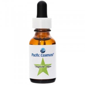 �������ۡ��󥢥륮�� �ԥѥ��ե��å����å��󥹡�25ml�ڢ��缡30ml�������ѹ��Ȥʤ�ޤ���