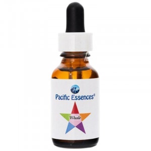 �ۥ����� �ԥѥ��ե��å����å��󥹡�30ml