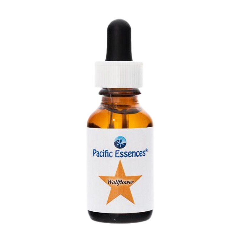 【専用】ラクシュミ　パシフィックエッセンス　フラワーエッセンス ラクシュミ(Lakshumi) ( 30ml )/ パシフィックエッセンス : 爽快