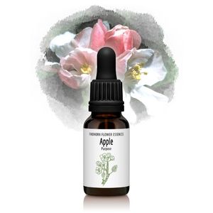 ���åץ�ʹ⼡����Ū�����ؤΰջ֡ˡԥե���ɥۡ���ե����å��󥹡�15ml