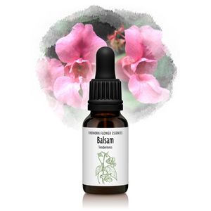 �Х륵��ʿ�̩�ʿʹִط��ˡԥե���ɥۡ���ե����å��󥹡�15ml