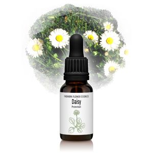 �ǥ�������̵����ͥ���ˡԥե���ɥۡ���ե����å��󥹡�15ml