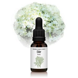 ������������Ⱥ����ˡԥե���ɥۡ���ե����å��󥹡�15ml