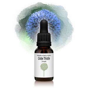 �������֥��������̿�ΰ�������Ĵ�¡ˡԥե���ɥۡ���ե����å��󥹡�15ml