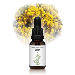 �������������봿�Ӥ����ξ�Ǯ�ˡԥե���ɥۡ���ե����å��󥹡�15ml