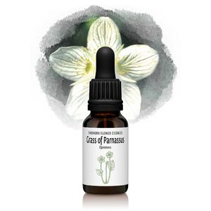 ���饹���֥ѡ��ʥå����������������ˡԥե���ɥۡ���ե����å��󥹡�15ml