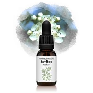 �ۡ��꡼������ʺ�������¤�ˡԥե���ɥۡ���ե����å��󥹡�15ml