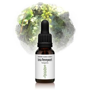 �������ʥڥˡ���ȡ�ƶ���Ϥ�Ψľ���ˡԥե���ɥۡ���ե����å��󥹡�15ml