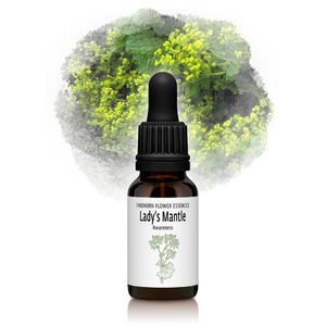 ��ǥ������ޥ�ȡʵ��Ť���̵�¤α��Ρˡԥե���ɥۡ���ե����å��󥹡�15ml