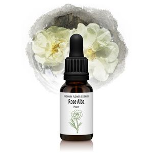 СʰȤ뿴̵¤ϡˡԥեɥۡեå󥹡15ml