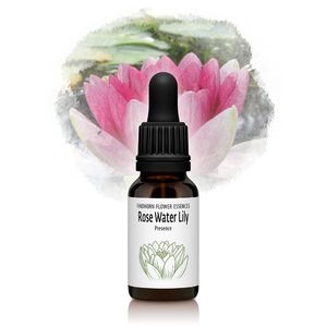 ������������������꡼��¸�ߤȾ徺�ˡԥե���ɥۡ���ե����å��󥹡�15ml