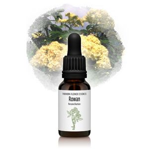 �������ʼϤ����²�ˡԥե���ɥۡ���ե����å��󥹡�15ml