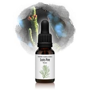 �����åĥѥ���ʱ��Τȿ��¡ˡԥե���ɥۡ���ե����å��󥹡�15ml