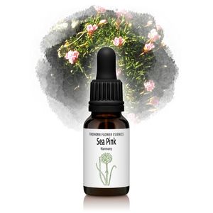 ԥ󥯡Ĵ¤ˡԥեɥۡեå󥹡15ml