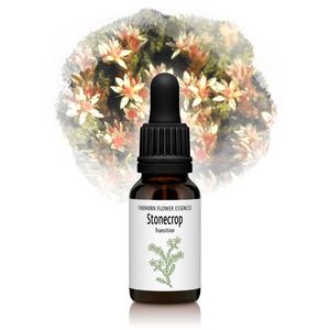 ȡ󥯥åסƤĶۡˡԥեɥۡեå󥹡15ml