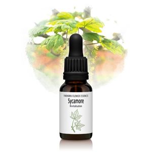 ⥢ʲ䤫Ⱥˡԥեɥۡեå󥹡15ml