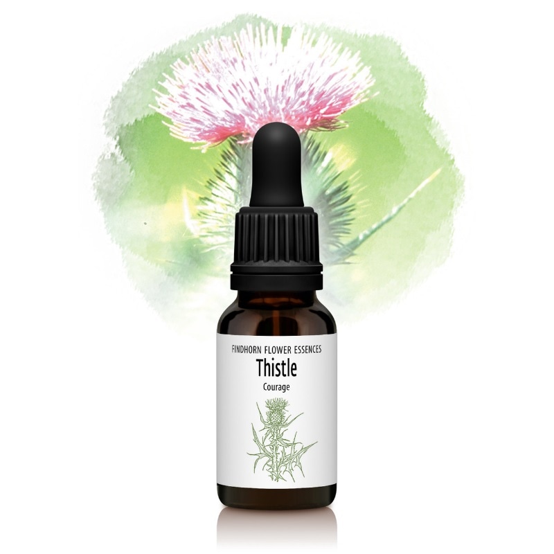 シスル（勇気と自信）《フィンドホーンフラワーエッセンス》15ml