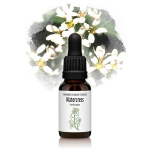 쥹ʹʡȾˡԥեɥۡեå󥹡15ml