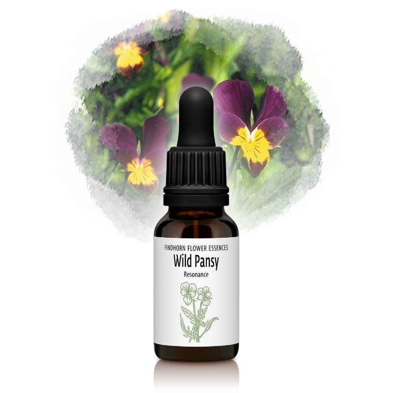 なおぽん　フラワーエッセンス5本 ワイルドパンジー（共鳴と輝き）《フィンドホーンフラワーエッセンス