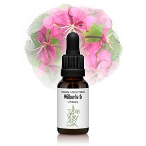 ϡ֡ʸϤȼˡԥեɥۡեå󥹡15ml