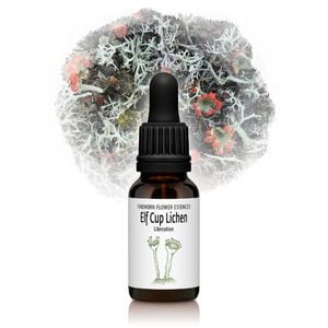 եåץ饤ʲˡԥեɥۡեå󥹡15ml