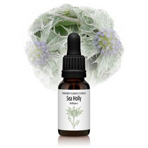 ۥ꡼ʵˡԥեɥۡեå󥹡15ml