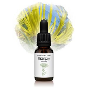 ꥭڡʴˡԥեɥۡեå󥹡15ml