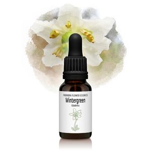 󥿡꡼ʤ줷ˡԥեɥۡեå󥹡15ml