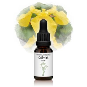 ǥ󥢥ꥹ¡ˡԥեɥۡեå󥹡15ml