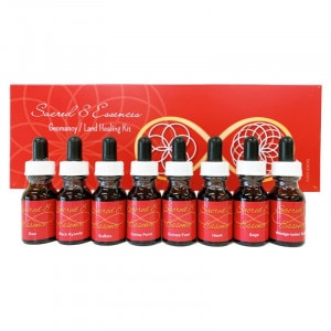 �����ޥ󥷡� ���ɥҡ����8�ܥ��åȡԥ�������åɥ����ȥ��å��󥹡�15ml��8�ܥ��åȡʥȥ꡼�ȥ��ȥܥȥ��Ѷ��ܥȥ�2���ա�