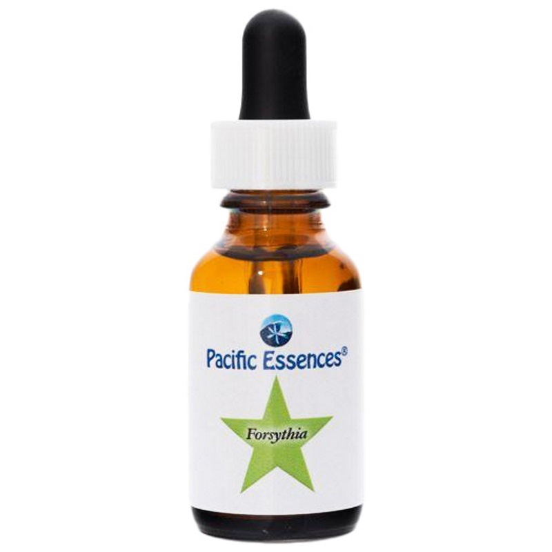 フォーシシア《パシフィックエッセンス》30ml｜フラワーレメディ《公式店》