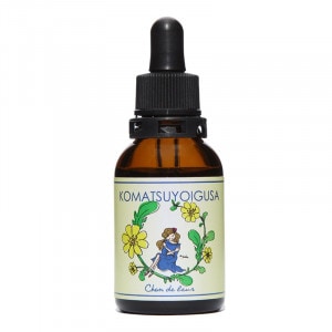 ���Ծ���ʥ��ޥĥ襤�����˥ե����å��󥹡ԥ����ɥ��롼���20ml