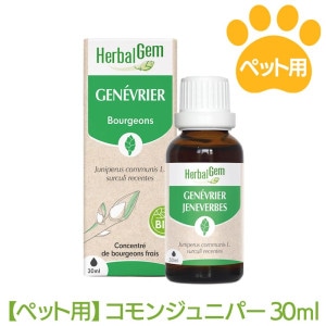 ����󥸥�˥ѡ��ʥڥå��ѥ����⥻��ԡ��ˡԥϡ��Х른�����30ml