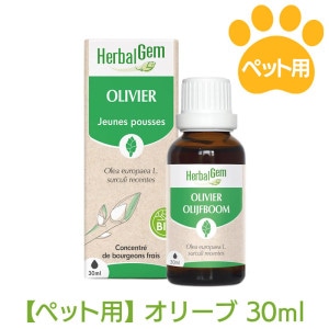 ���꡼�֡ʥڥå��ѥ����⥻��ԡ��ˡԥϡ��Х른�����30ml